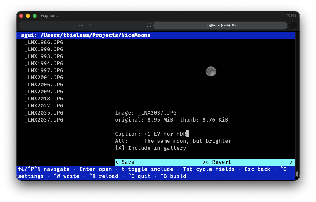 Setting a photo's caption and alt text, with the image previewed right there in the terminal