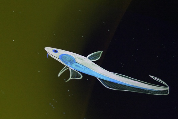 _LNX1344.JPG
