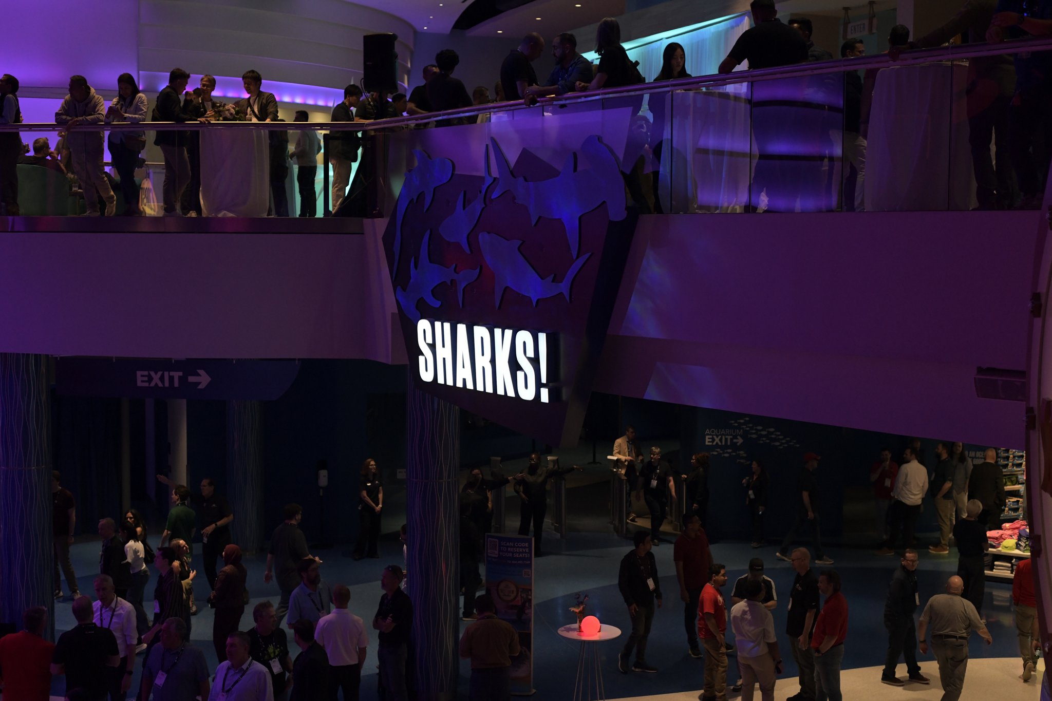 SHARKS!